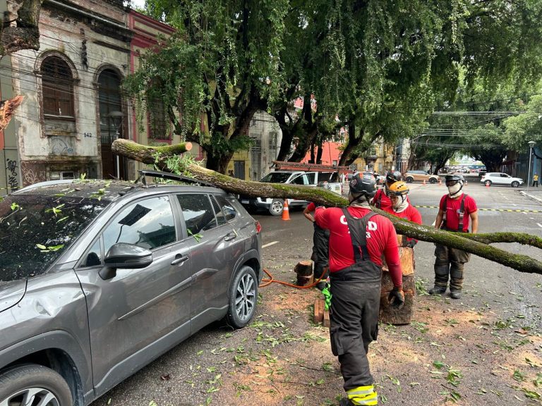 Corpo de Bombeiros desobstrui avenida Ferreira Pena, no Centro, interditada após tronco cair em cima de veículo