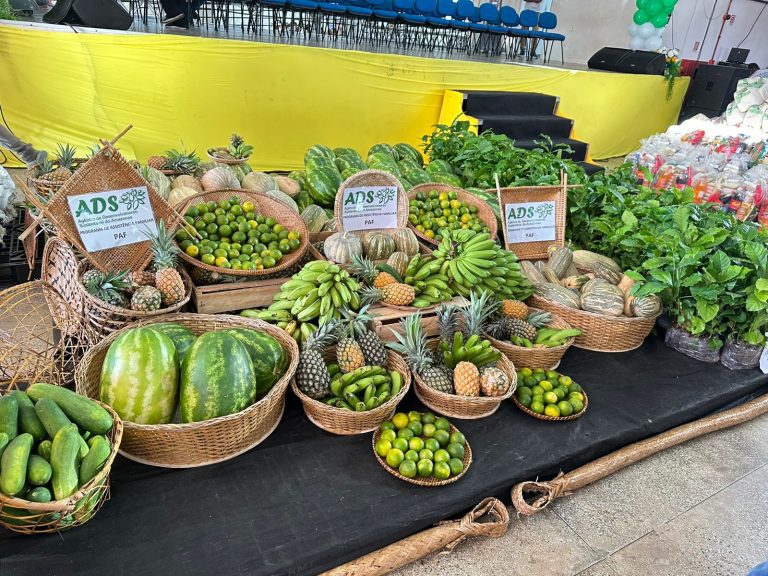 ADS faz doações de produtos e entrega equipamentos e insumos agrícolas em Japurá, Alvarães e Tefé