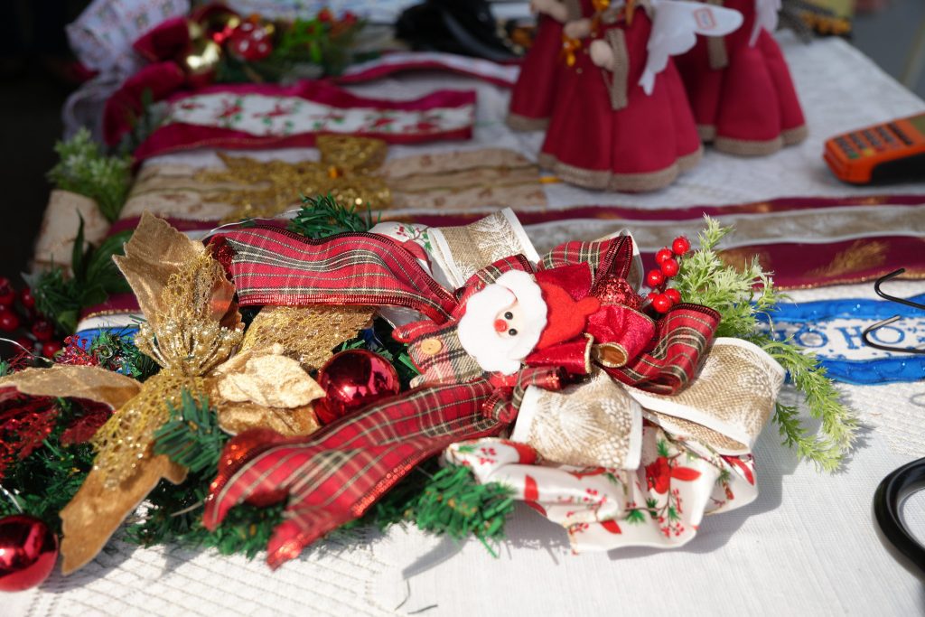 Foto: Reprodução/Agência Amazonas