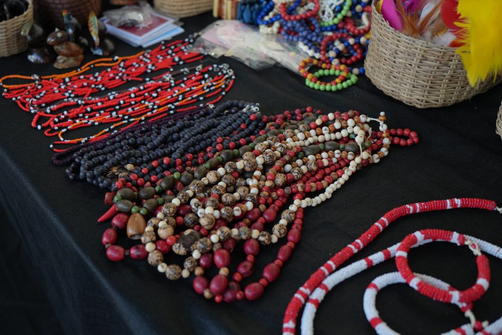 Foto: Reprodução/Agência Amazonas