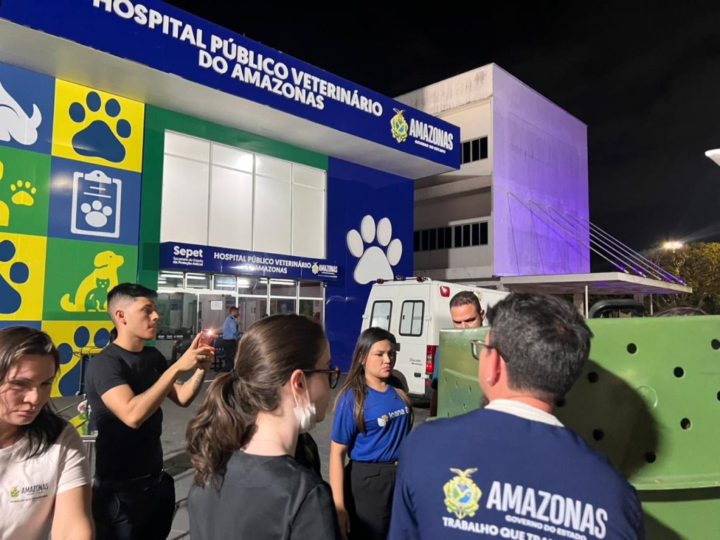 Foto: Reprodução/Agência Amazonas