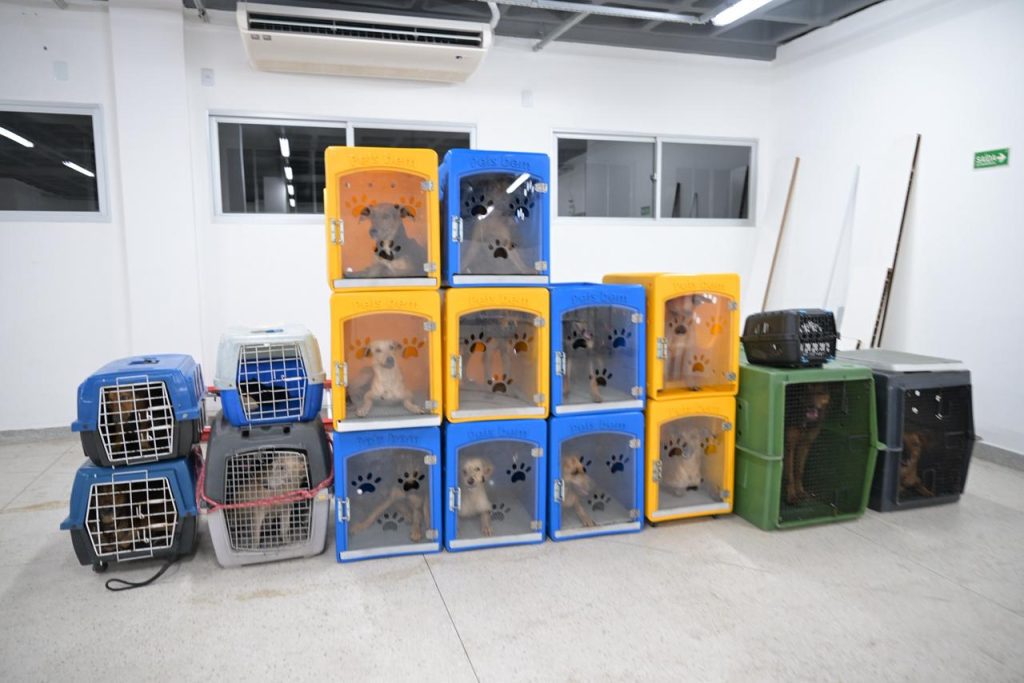 Foto: Reprodução/Agência Amazonas