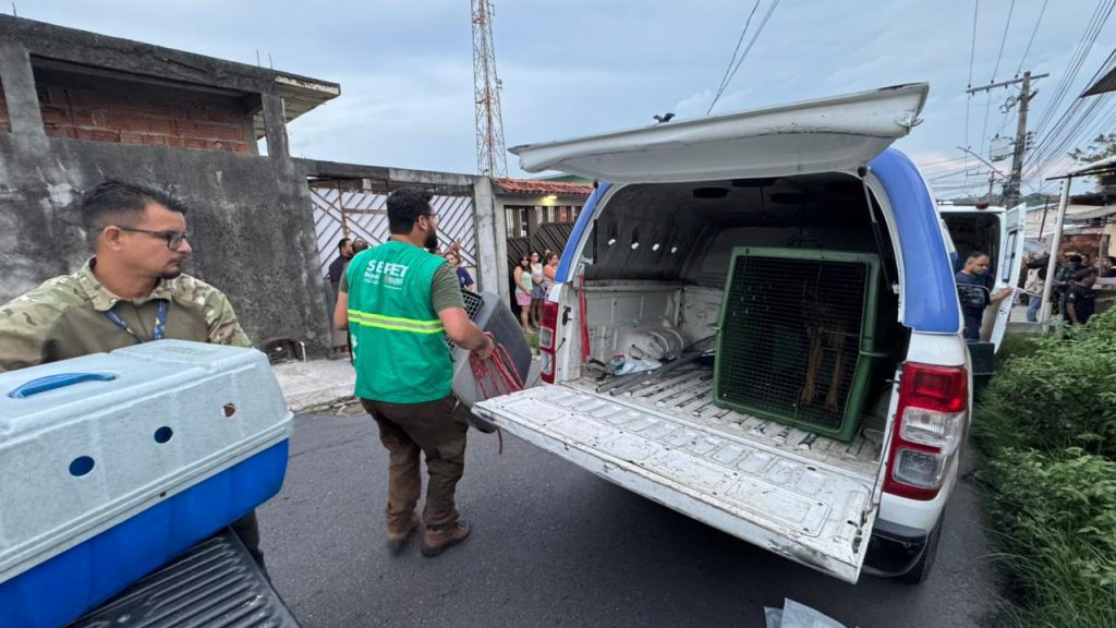 Foto: Reprodução/Agência Amazonas