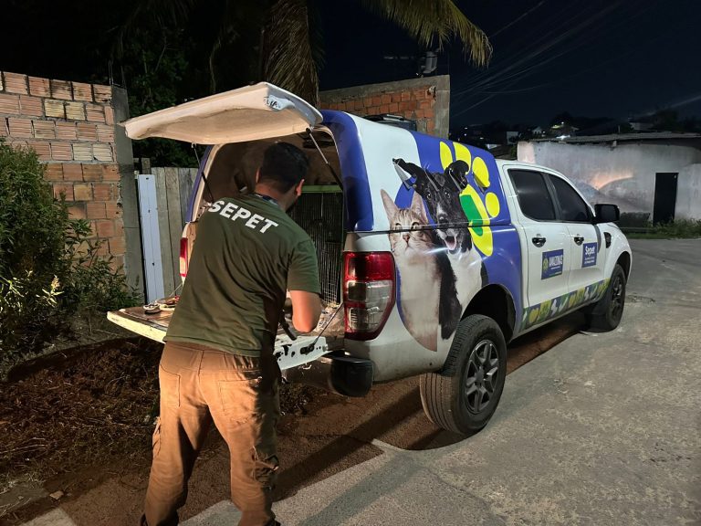 Mais de 20 animais são resgatados de canil clandestino desarticulado pela Sepet-AM