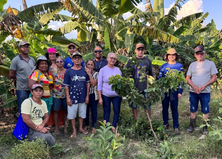 Em Autazes, Idam faz treinamento de poda de frutíferas e cultivo de hortaliças