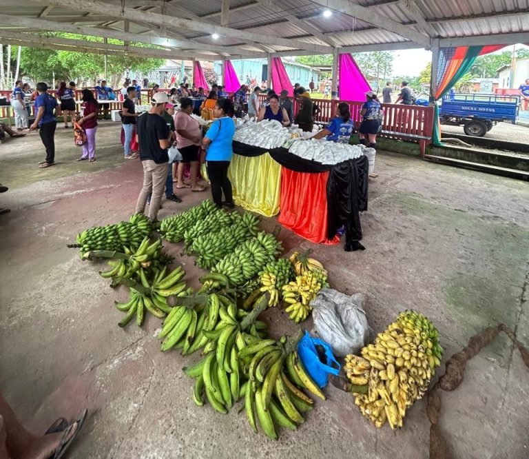 Unidades Locais do Idam no interior recebem documentação para credenciamento no Preme