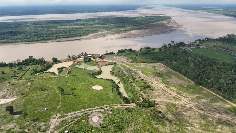 Ipaam multa posseiro em mais de R$ 24,3 milhões pelo maior desmatamento do ano em Borba