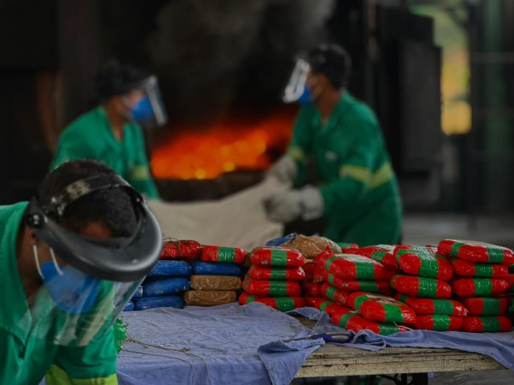 Foto: Reprodução/Agência Amazonas