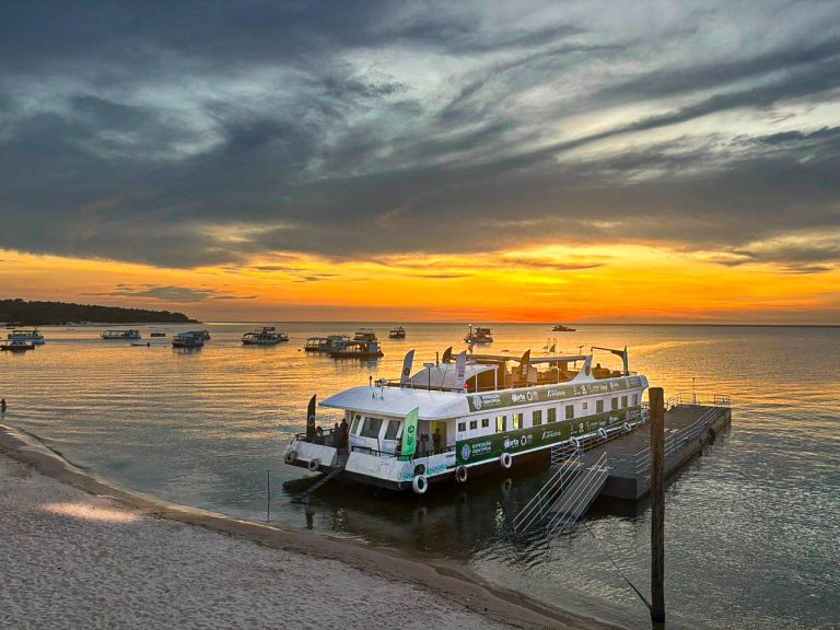 UEA na COP30: Universidade apresenta soluções amazônicas em justiça climática, bioeconomia e inovação sustentável