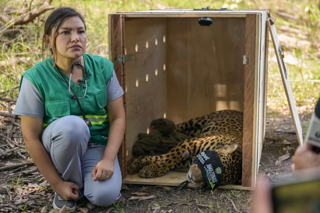 Foto: Reprodução/Agência Amazonas