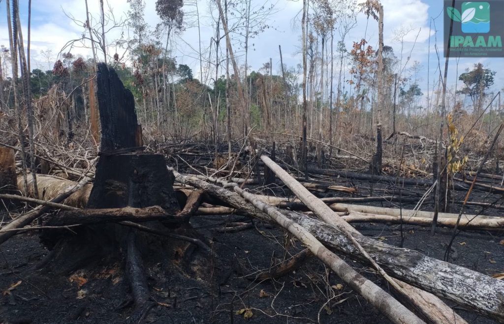 Foto: Reprodução/Agência Amazonas