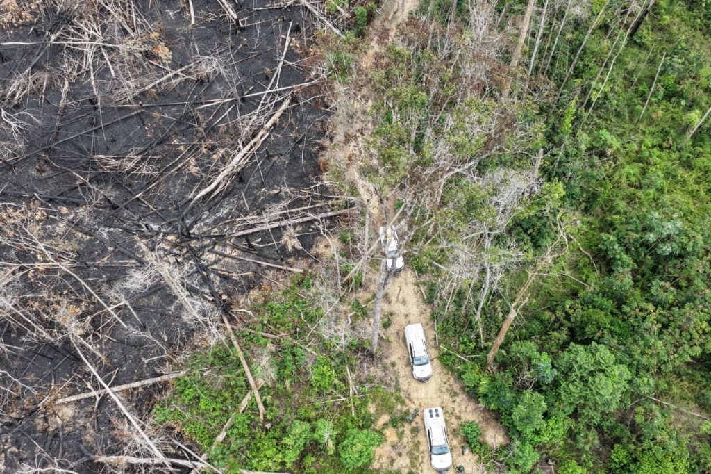 Foto: Reprodução/Agência Amazonas