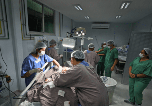 Foto: Reprodução/Agência Amazonas