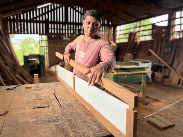 Governo do Amazonas abre edital para credenciamento de moveleiros ao Promove 2026