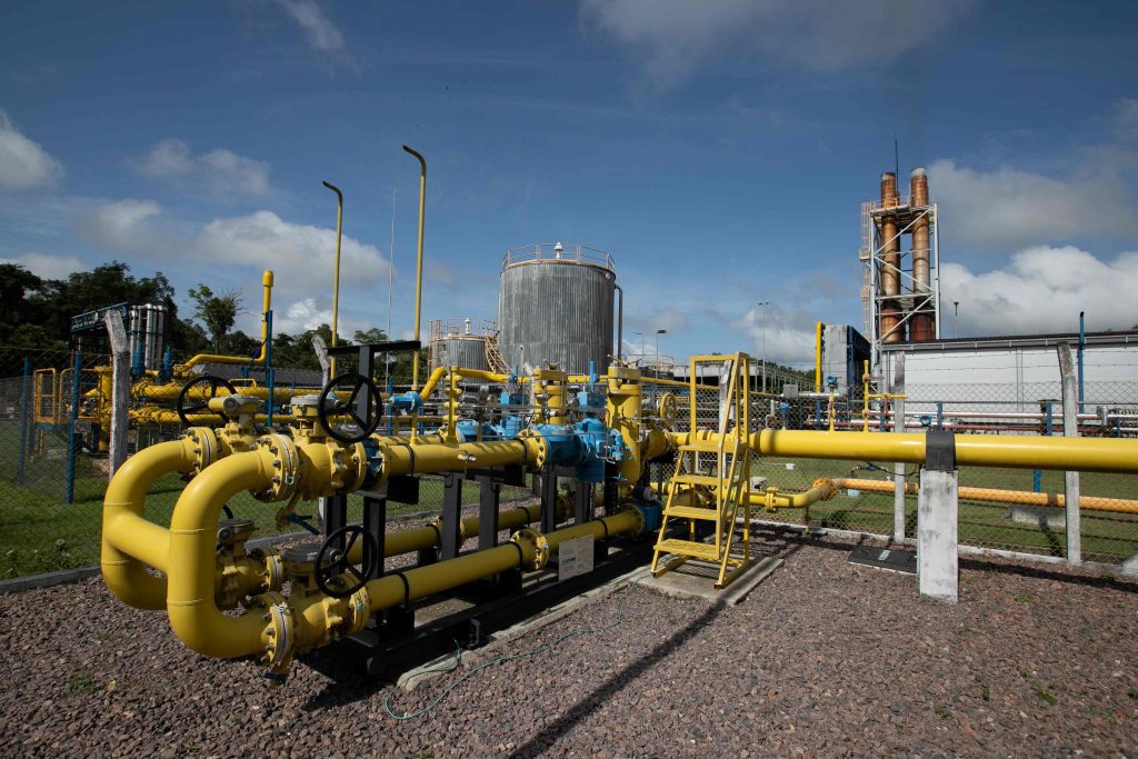 Foto: Reprodução/Agência Amazonas