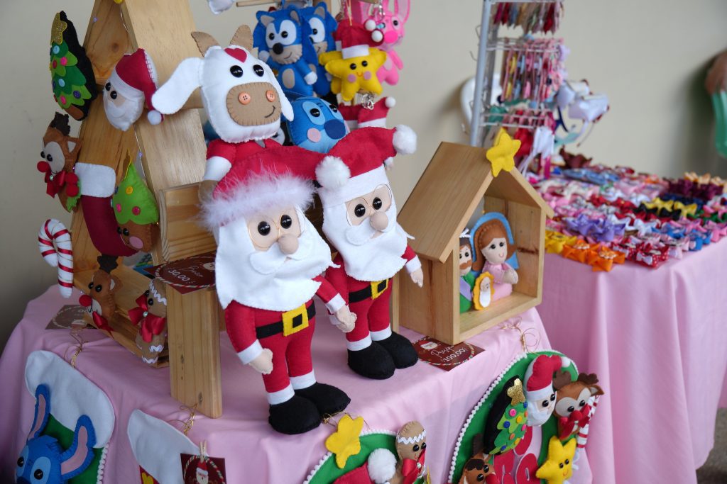 Foto: Reprodução/Agência Amazonas