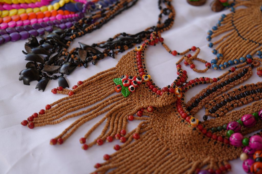 Foto: Reprodução/Agência Amazonas