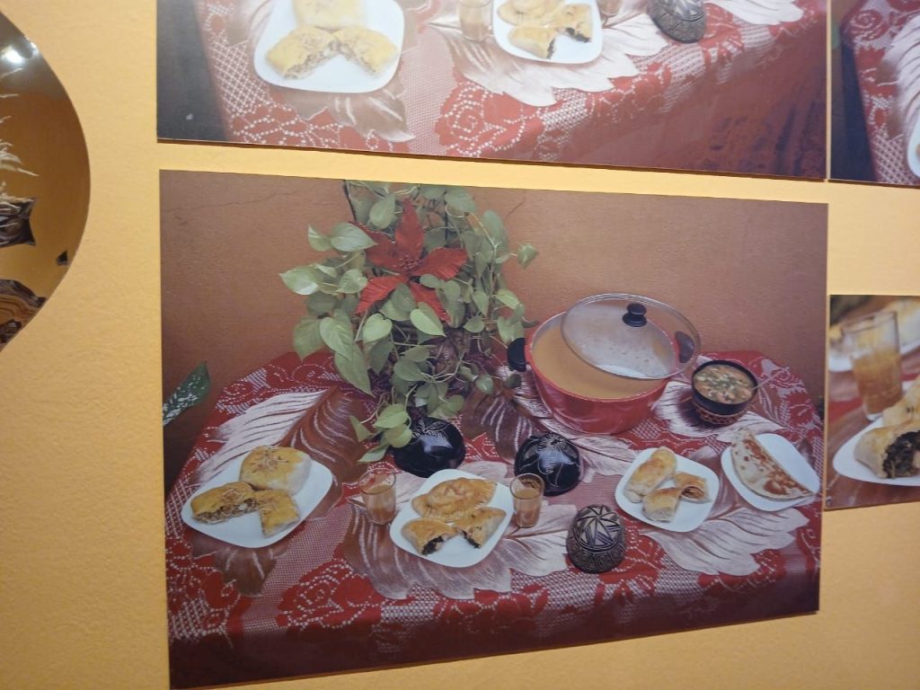 Foto: Reprodução/Agência Amazonas