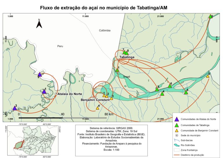 Com apoio do Governo do Amazonas, pesquisa identifica os circuitos de extração e comercialização do açaí e do mapati na Tríplice Fronteira