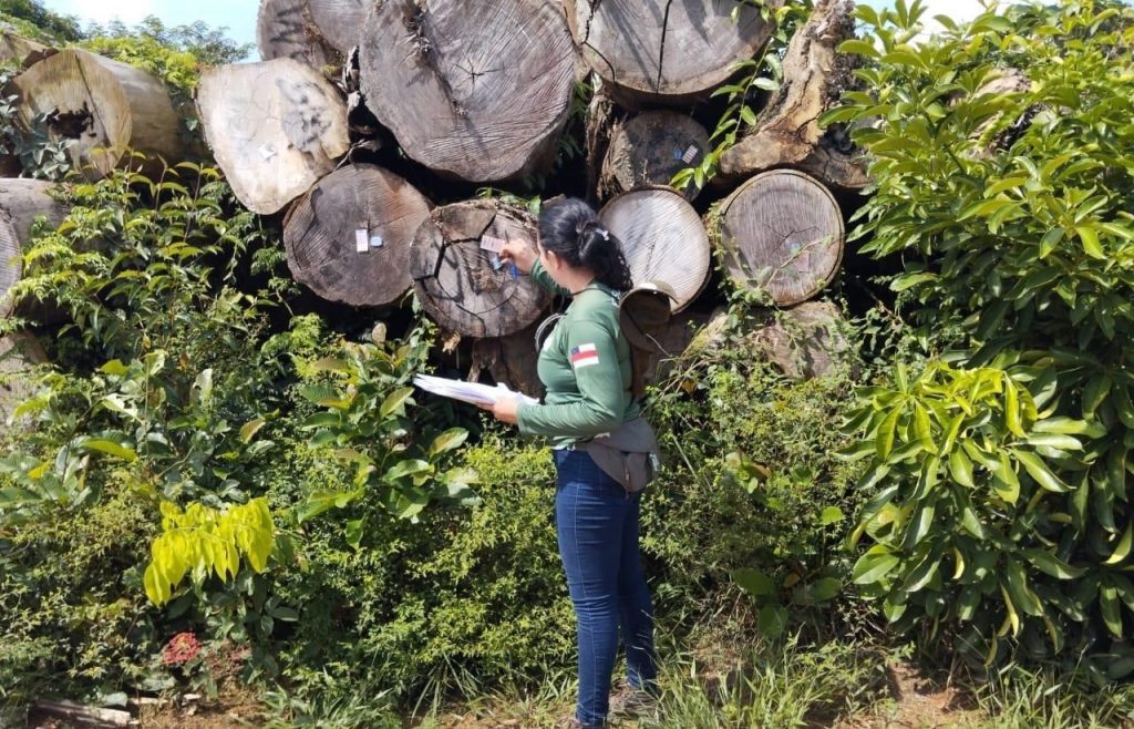 Foto: Reprodução/Agência Amazonas