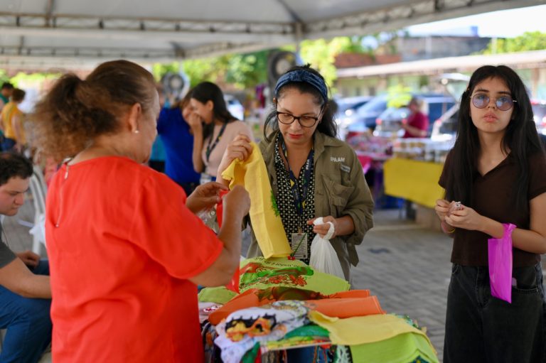 Ipaam 30 anos: Programação desta quinta-feira tem Expofeira e capacitação sobre Taxa de Controle e Fiscalização Ambiental