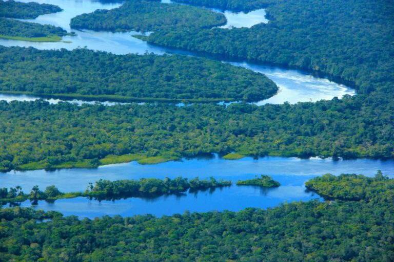 Governo do Amazonas registra em novembro o menor número de focos de calor desde 2021