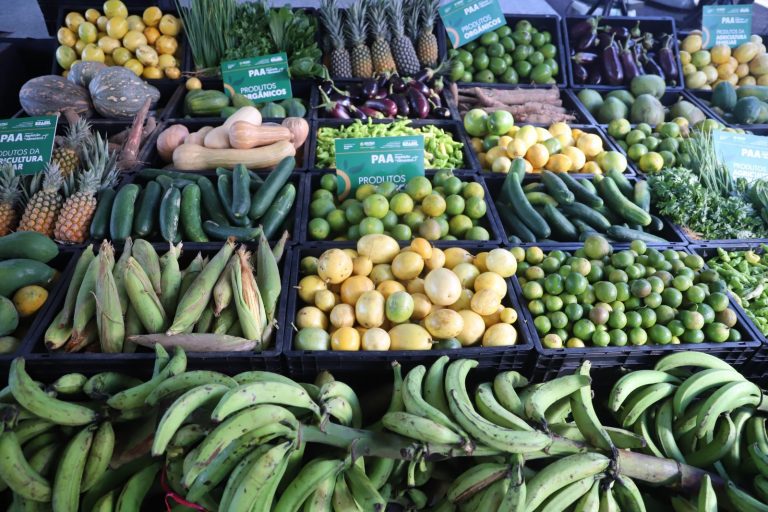 Sepror investe R$ 5 milhões na compra de alimentos em 2025 por meio do Programa de Aquisição de Alimentos