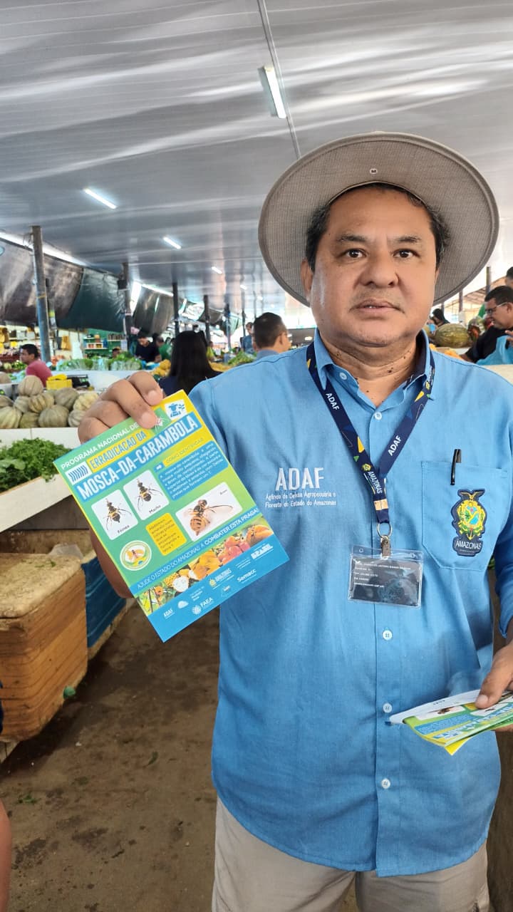 Mosca-da-carambola: Adaf percorre feiras e propriedades para alertar a população sobre proibição de transporte de frutos