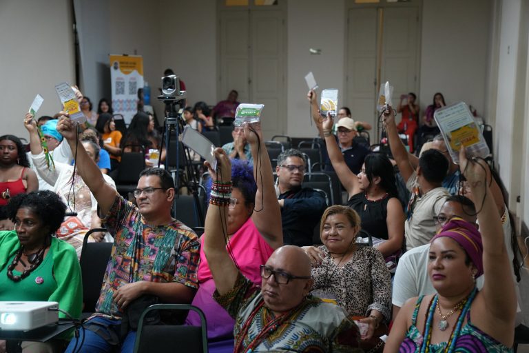 Fórum da Teia Amazonas avança na organização dos GTs e define critérios para eleição de delegados