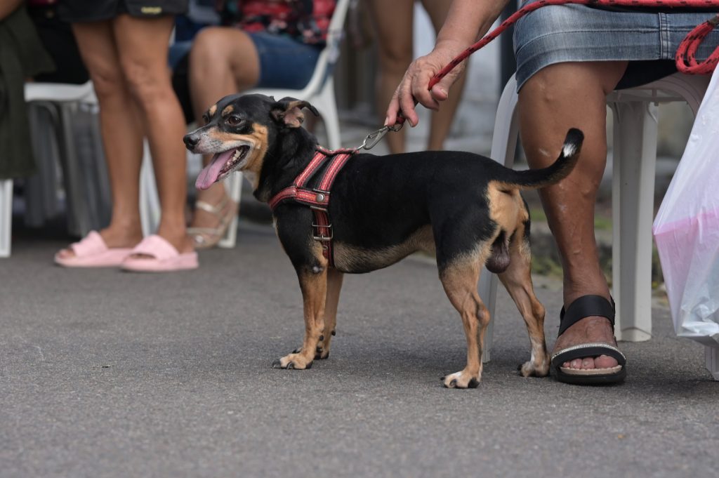 Foto: Reprodução/Agência Amazonas