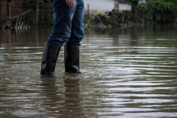 Foto: Reprodução/Agência Amazonas