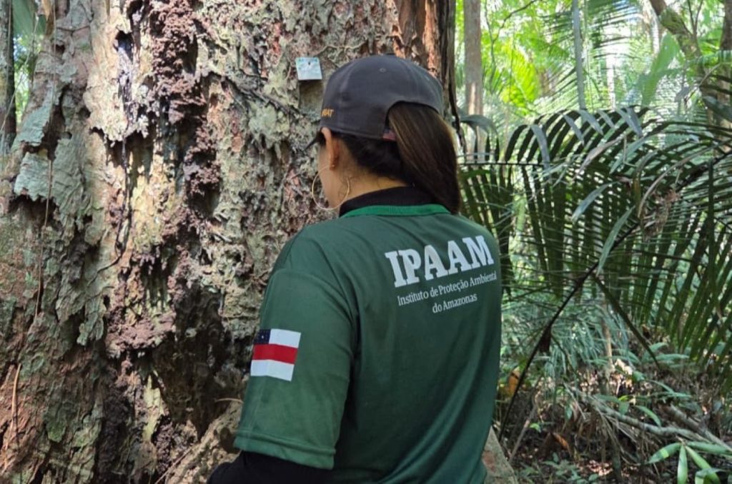 Foto: Reprodução/Agência Amazonas