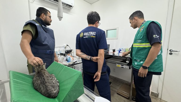Sepet resgata animal vítima de maus-tratos no Residencial Eliza Miranda, em Manaus
