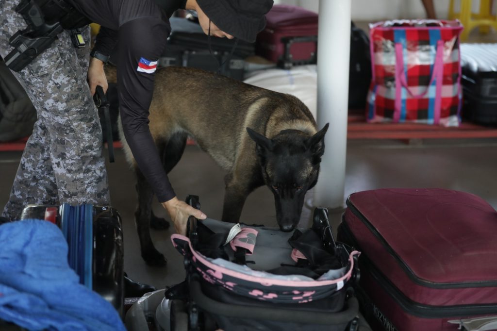 Foto: Reprodução/Agência Amazonas