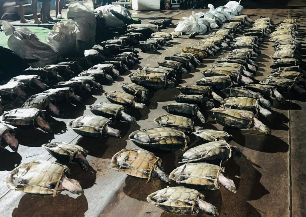 Foto: Reprodução/Agência Amazonas