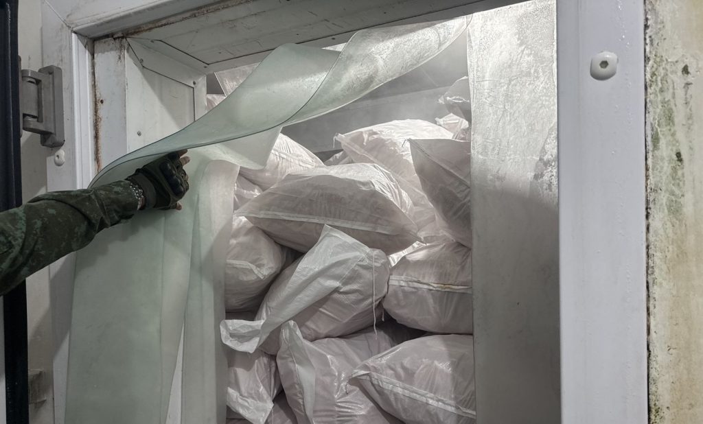 Foto: Reprodução/Agência Amazonas